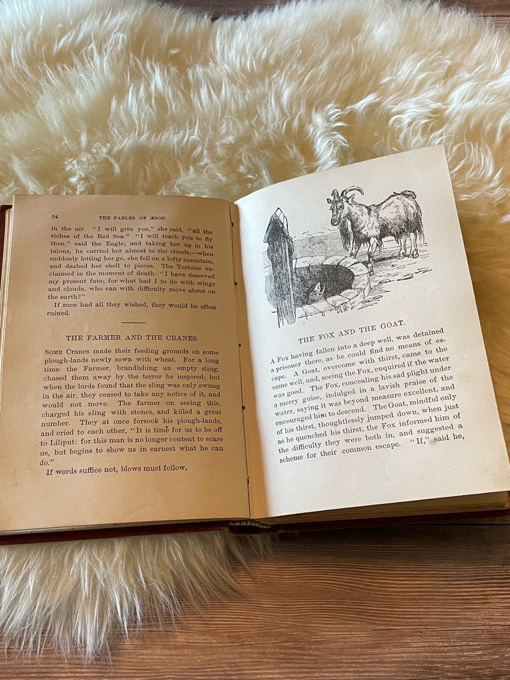 1st Editions The Fables of Aesop ~ 1882 and 1975 - Picture 10 of 11